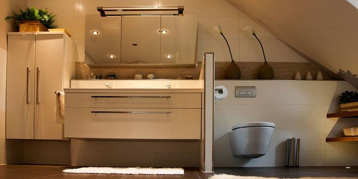 Ein modernes Badezimmer mit einem eleganten Waschbecken, einem großen Spiegel und stilvollen Pflanzen auf dem Regal.